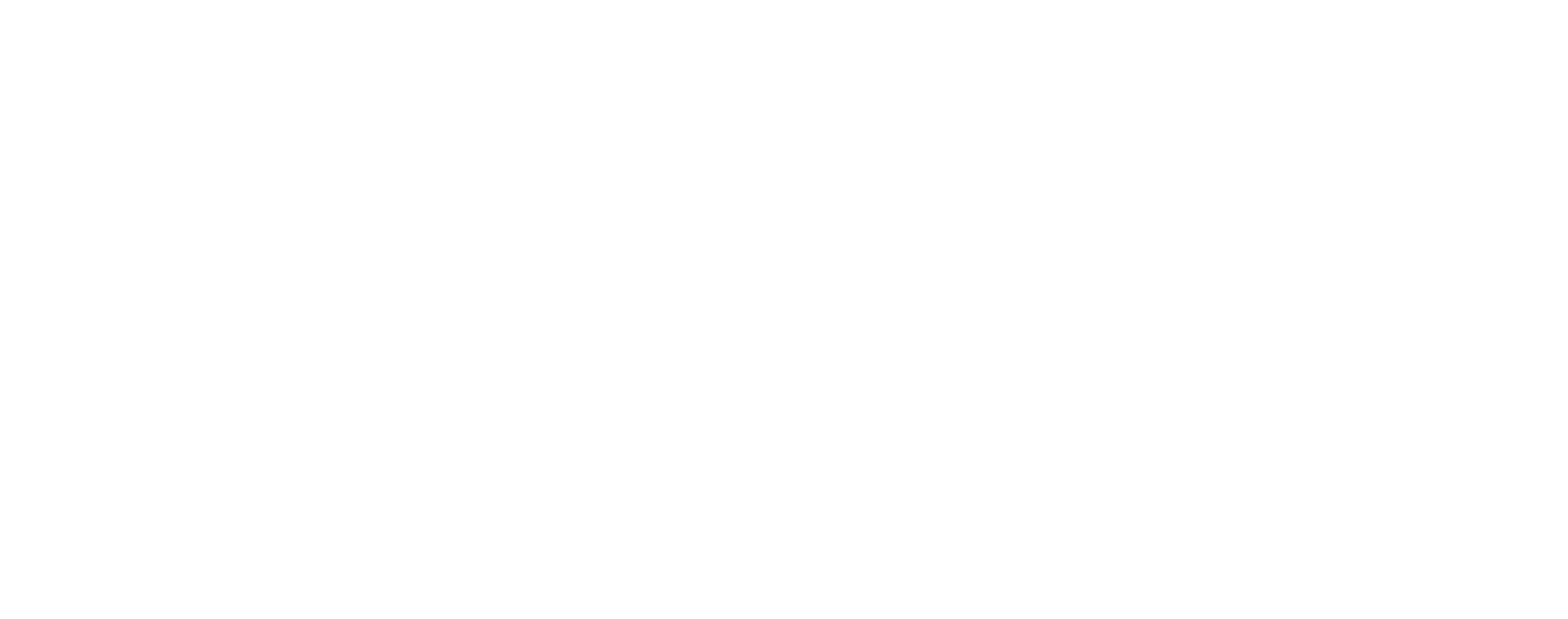 Spanish Fly Media Logo