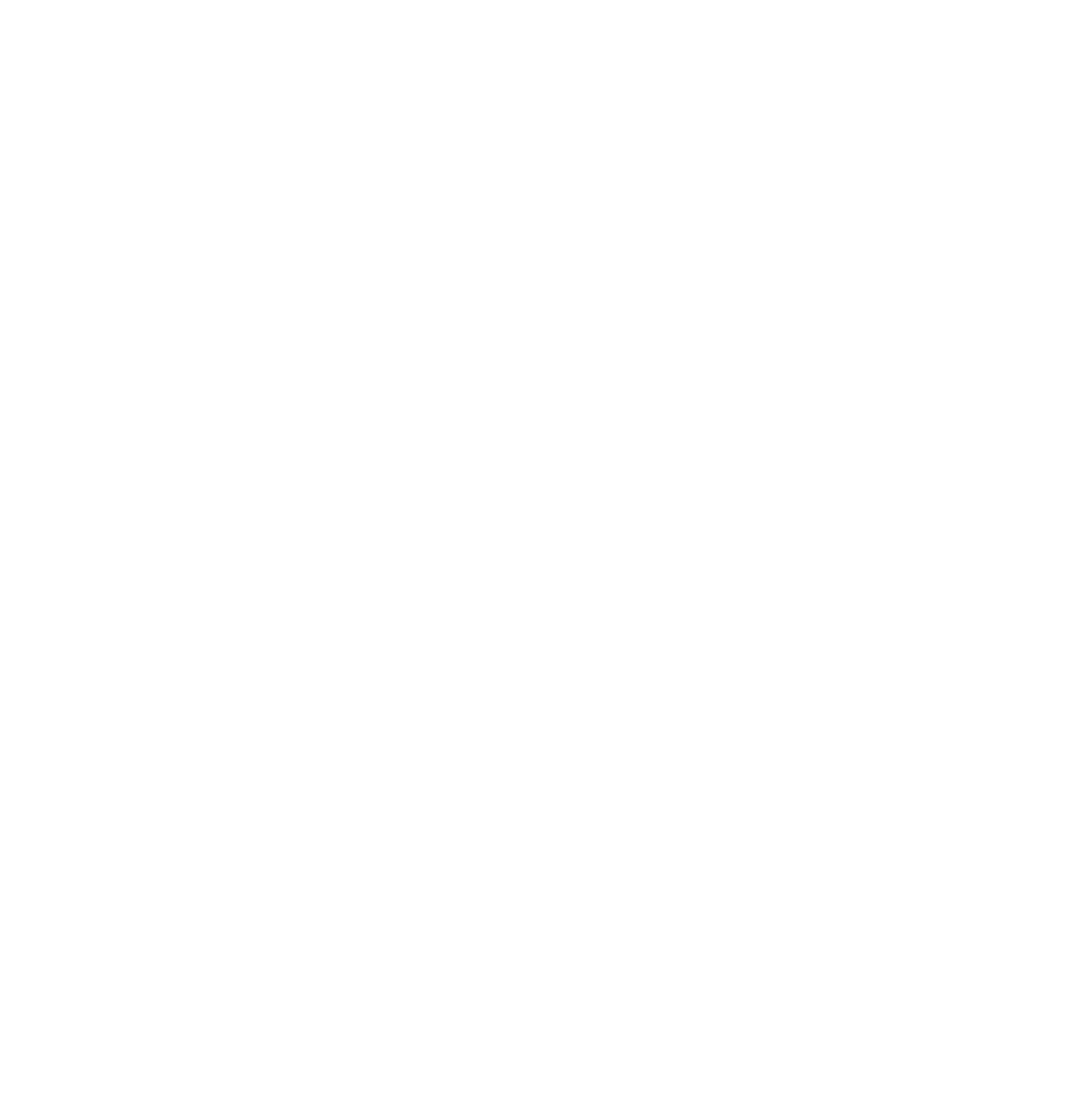 Spanish Fly Media Vertical Logo